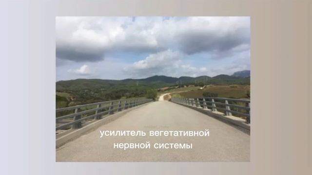 усилитель вегетативной нервной системы/sub#саблиминал смотреть онлайн