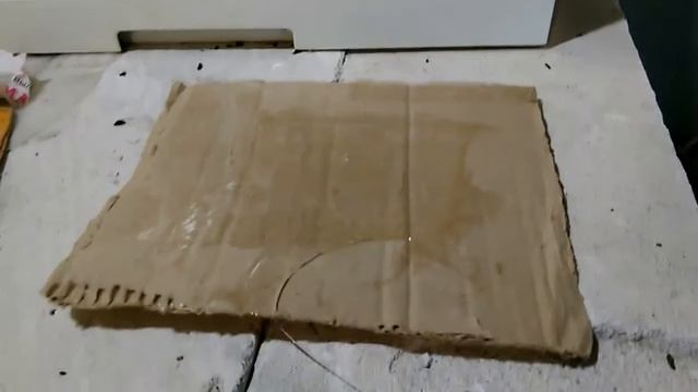 Реальная ловушка для грызунов на даче! 27.01.18 смотреть онлайн