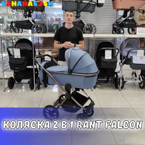 КОЛЯСКА 2 В 1 RANT FALCON