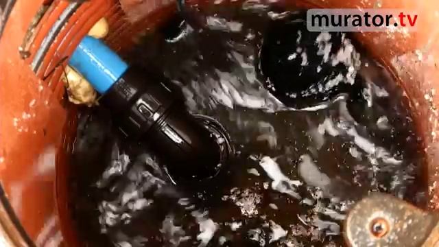 Как решить проблему отведения дождевой воды на садовом участке смотреть онлайн