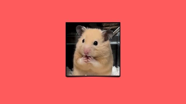 ♡ Лучшие песни ♡ +ВАЙБ ♡ Speed up ♡ смотреть онлайн