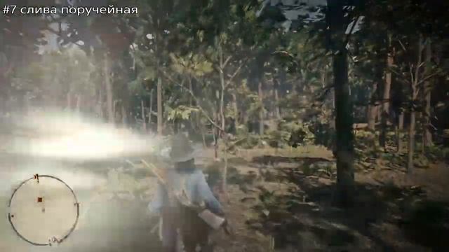 ВСЕ Американские дикие цветы RDR2 оnline (день2)