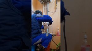 Почему повышаться и растет давление в системе отопления с настенным газом котлом#protherm #vaillant