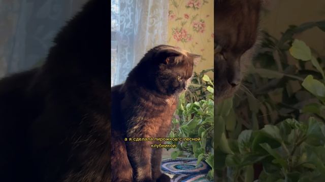 У бабушки готовим в русской печи? смотреть онлайн