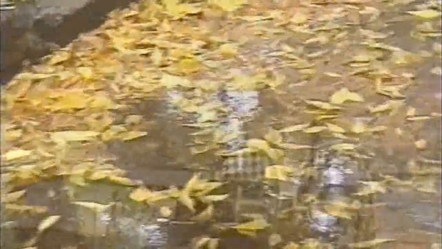 Олег Митяев. "В тёмной комнате". смотреть онлайн