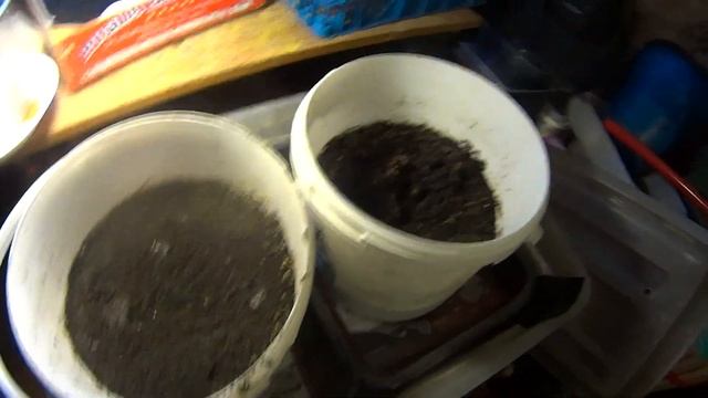 4058 Выращивание дождевых червей дома, как кормить червей?