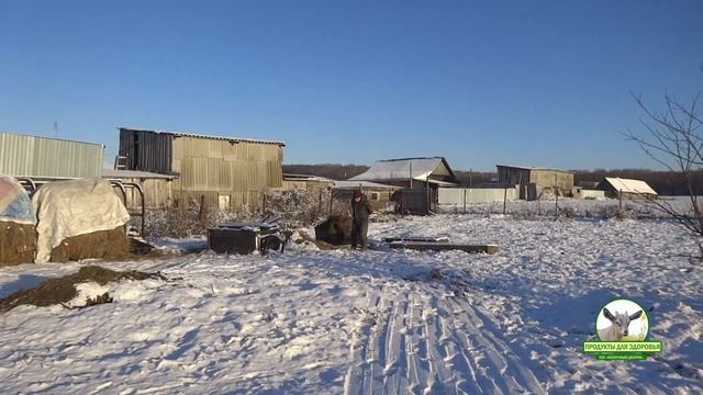 Сани волокуши 20 11 2019, на улице -23С смотреть онлайн