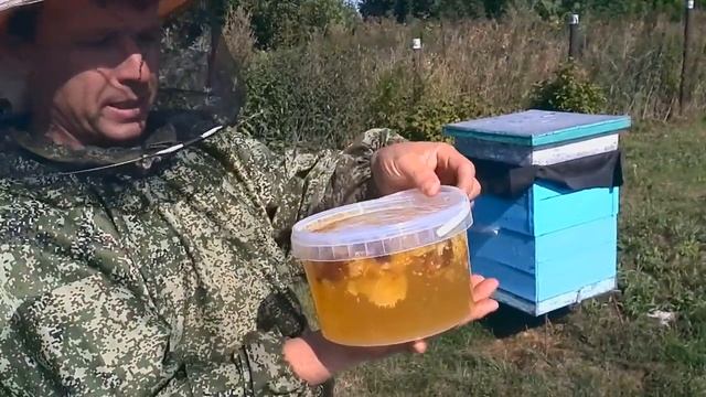 кормлю пчёл. даю медовую сыту в вёдрах. смотреть онлайн