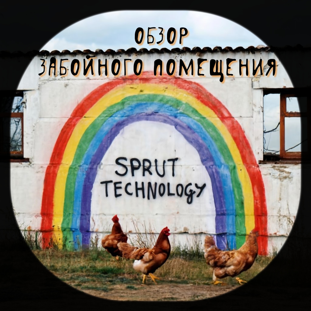 Обзор забойного помещения смотреть онлайн