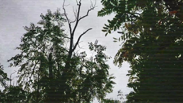 Жизнь зависит от нас самих смотреть онлайн