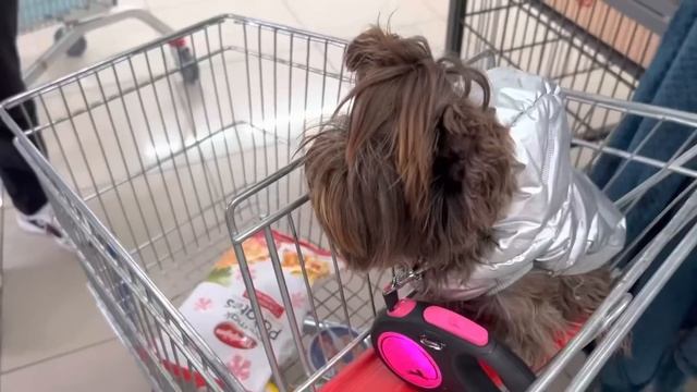 112❤️ ПЕРЕЕЗД В ТУРЦИЮ.После случившегося в Турции жить. #турция #азан #переезд#землетрясение