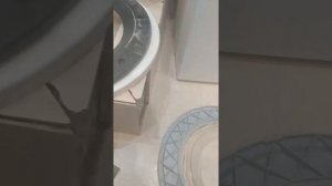 BOSCH Classixx 5 замена ручки люка в стиральной машине  Не открывается и не закрывается люк.