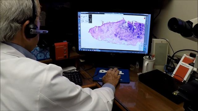 PreciPoint M8 Remote Contol Scanner-Microscope for Frozen Sections смотреть онлайн