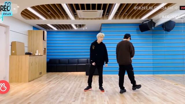 [Mirror] WOW-Danceracha (Stray Kids) [Chorus & Dance Break ] смотреть онлайн