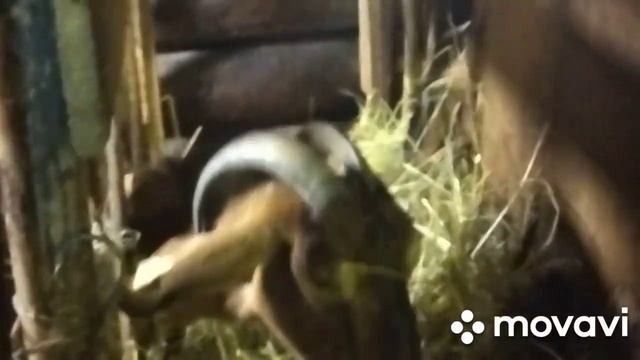 УБОРОЧНЫЙ ДЕНЬ НА УЛИЦЕ.? НАИВКУСНЕЙШИЙ  ТОРТ.?