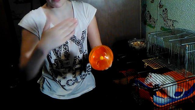 Анимационные мелодии