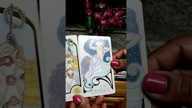 ?The Deceptive Chameleon? December 20, 2019 Tarot Reading смотреть онлайн