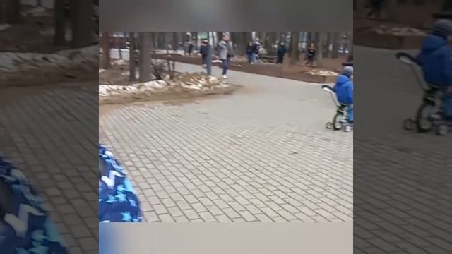 Утром в детский сад...