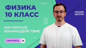 Магнитное взаимодействие. Видеоурок 1. Физика 10 класс