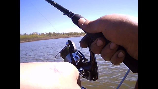 Сом , судак ,щука или кто там? смотреть онлайн