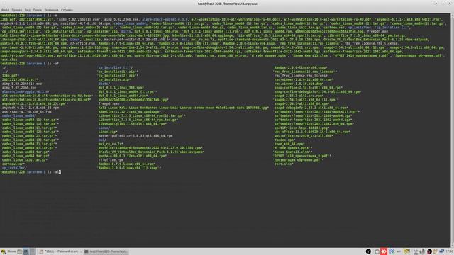 Команда LS. Терминал Linux. Alt linux. смотреть онлайн