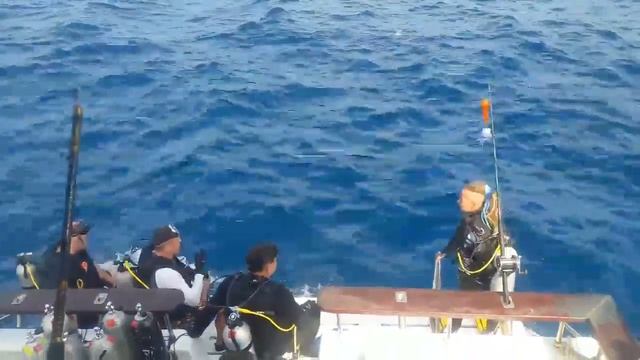 Дайвинг и морская рыбалка на Пхукете смотреть онлайн