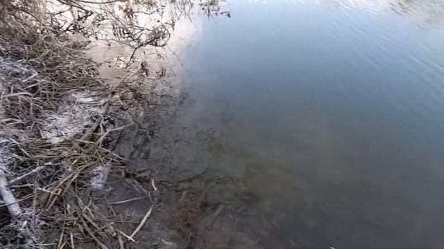 Ловим рыбу| Ловим рыбу екранчиком| Ловим Раков| Рыбалка| Ловля рыбы| Ловля Раков| Рыбалка екранчико