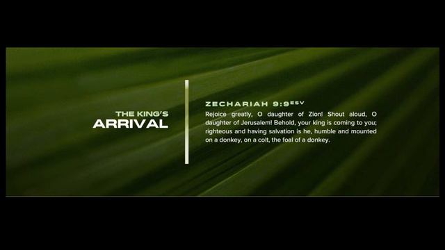 March 24, 2024 Service (Palm Sunday) смотреть онлайн