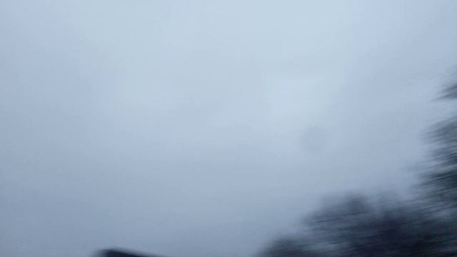Зима Чудо Природы Дерево ещё в Листьях ?️?️❄️??????? смотреть онлайн