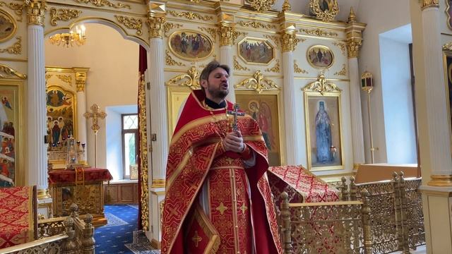 Нечаянная Радость. Слово иерея Максима Никитского