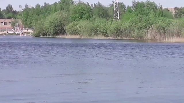 Орехово-Зуево. Озеро. май 2021г. смотреть онлайн