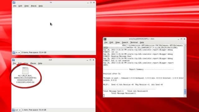 Testing a Healthcare SOA Composite Application смотреть онлайн