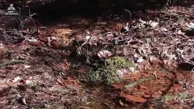 Эльдар Рязанов ❝Всё беспричинно❞ смотреть онлайн