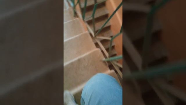 Освещение дома Генерала Бочарова 36. Лестничные клетки, прилифтовые площадки смотреть онлайн