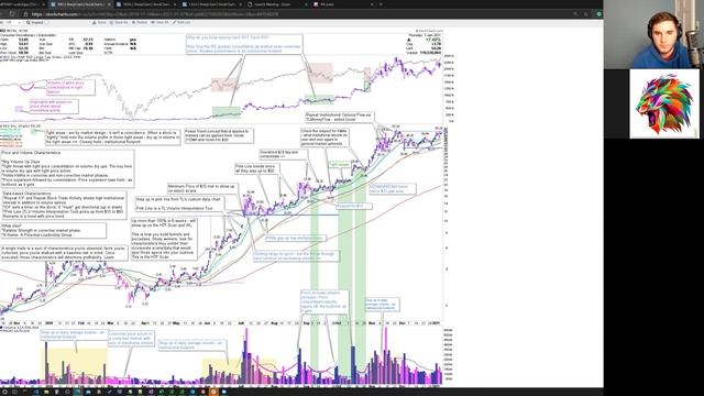 NIO Stock Analysis | Best Stocks of 2020 | Winning Characteristics ft. Ray from TraderLion смотреть онлайн