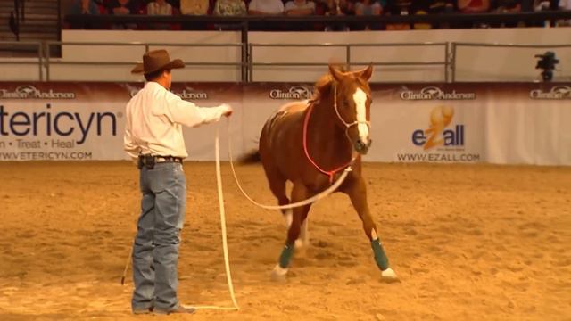 Clinton Anderson Presents: Kicking A Bad Habit