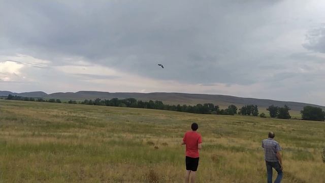 Летающие крыло своими руками(неудача) смотреть онлайн