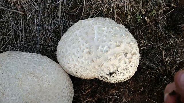 Вкусная еда на каждый день