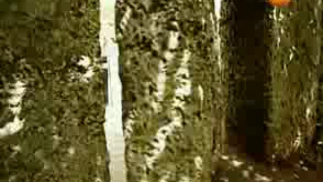 Космические истории 