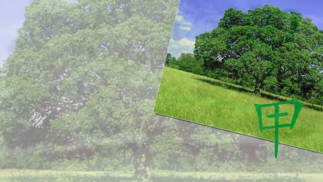 Ба-цзы Дерево Ян смотреть онлайн