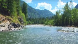 Агафья Лыкова. Чем болели и как лечились отшельники Лыковы