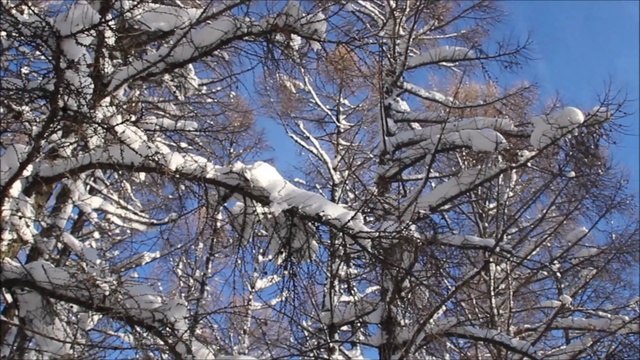 Бугульма - прогулка по природе