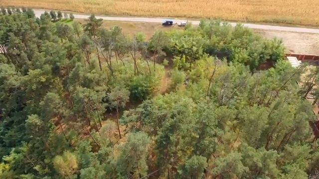 VID 20190913 WA0014 смотреть онлайн