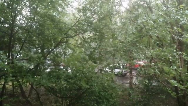 У ПРИРОДЫ НЕТ ПЛОХОЙ ПОГОДЫ.. ⛈️☔ смотреть онлайн
