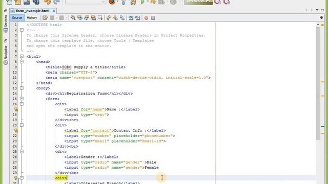 8. Simple Form using all the tag in HTML with Basic Validation || With Coding смотреть онлайн