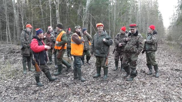 Hunting. Загонная охота. 6 декабря 2015г. смотреть онлайн