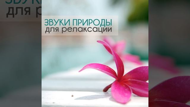 Улучшить память