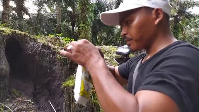 MUNCULNYA SOSOK MONSTER AIR TAWAR SAAT EVAKUASI ULAR PYTHON MENYERAMKAN..!! смотреть онлайн