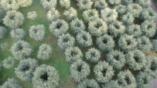 VENETO - ASOLO I Borghi Più Belli D'italia!