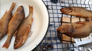 "Жизнь на пенсии,, Закоптили всех окуней ..